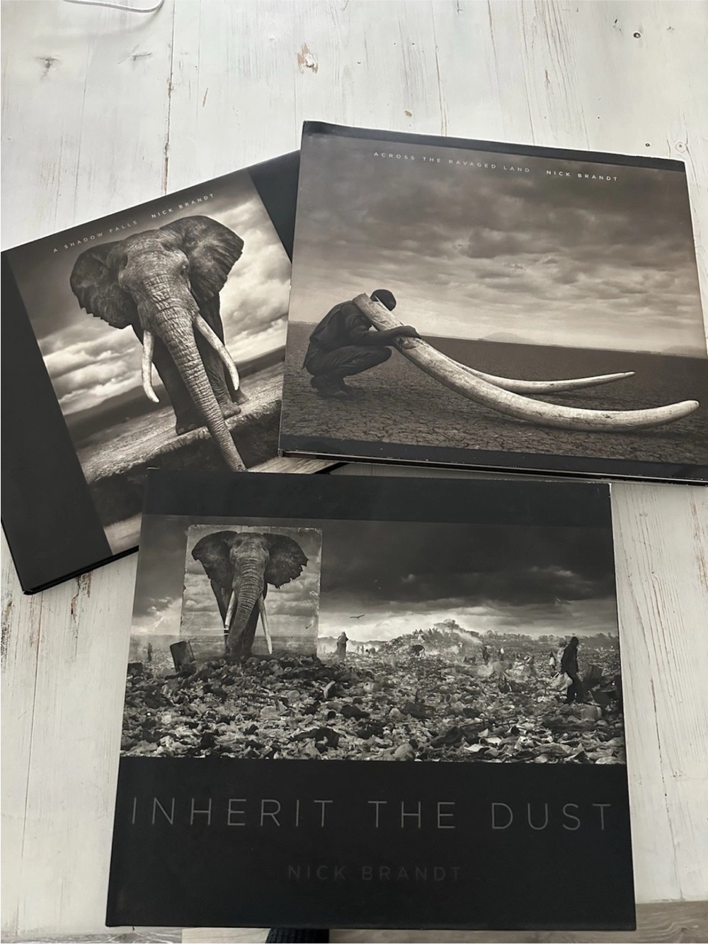 3 Nick Brandt Coffee Table Photo Book Set collection signed picture books